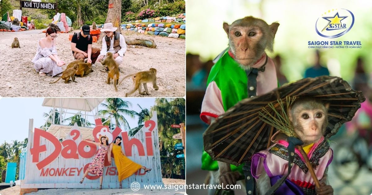 Đảo Khỉ Nha Trang - chương trình vui chơi ngày 2 - Saigon Star Travel