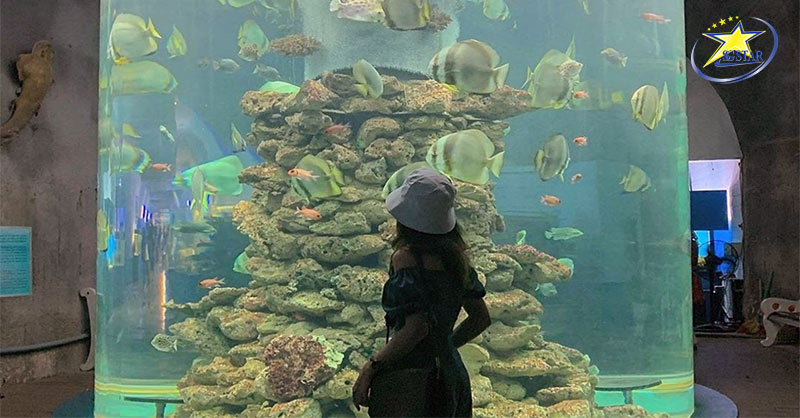 Tham quan Viện Hải Dương Học