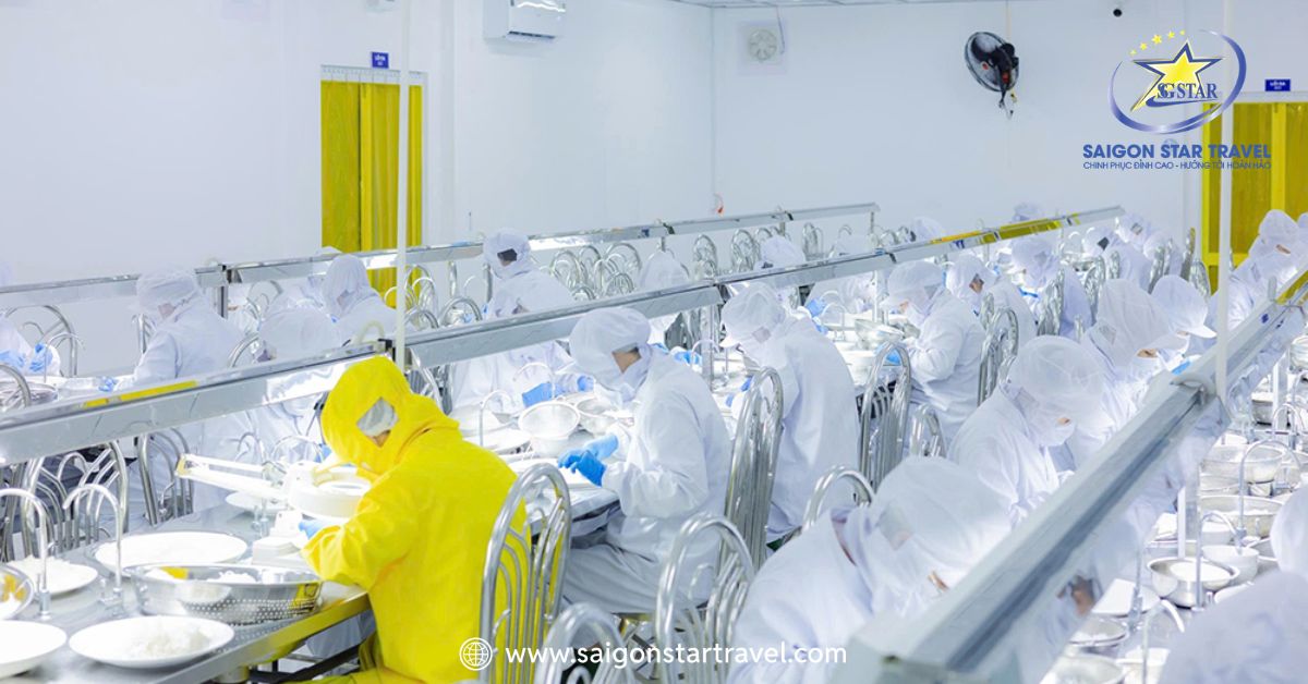 Khu vực chế biến yến sào