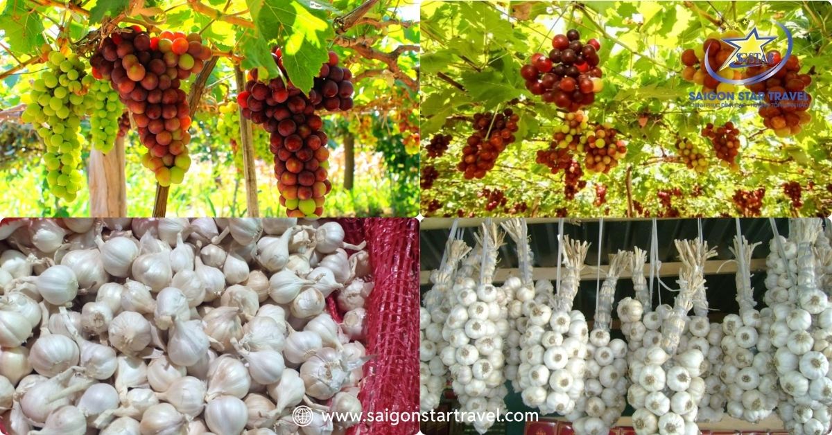 Đặc sản Ninh Thuận làm quà