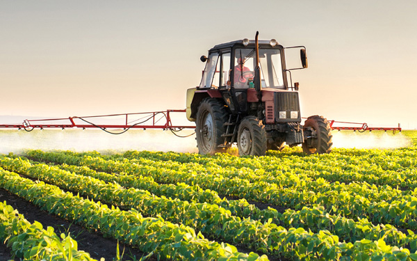 Du lịch nông nghiệp Thái Lan mới lạ và độc đáo | Saigon Star Travel du lich nong nghiep thai lan moi la va doc dao 2