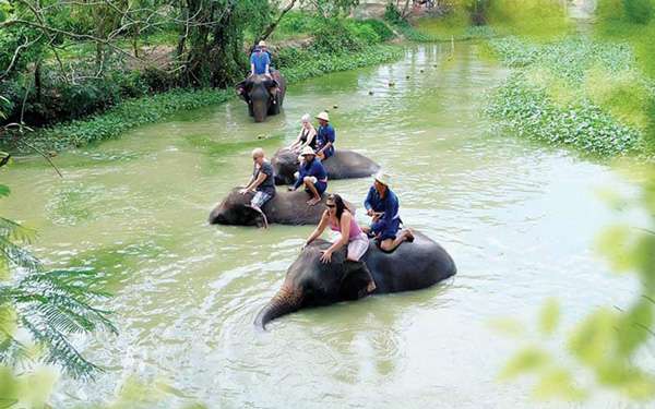Du lịch nông nghiệp Thái Lan mới lạ và độc đáo | Saigon Star Travel du lich nong nghiep thai lan moi la va doc dao 5