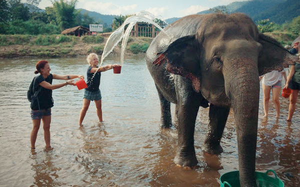 Du lịch nông nghiệp Thái Lan mới lạ và độc đáo | Saigon Star Travel du lich nong nghiep thai lan moi la va doc dao 6