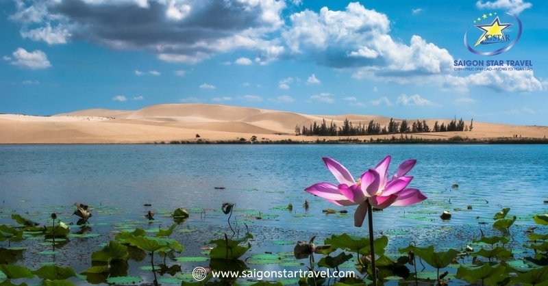 Những Cảnh Đẹp Ở Bình Thuận: Thiên Nhiên Hoang Sơ Kỳ Vĩ | Saigon Star Travel Bàu cát trắng cảnh đẹp ở Bình Thuận