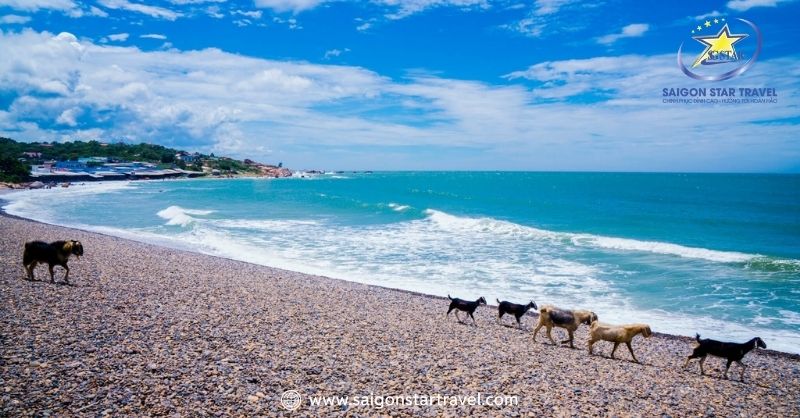 Bãi biển Cổ Thạch xanh