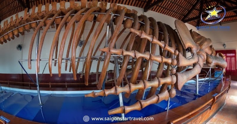 Dinh Vạn Thủy Tú: Điểm Đến Văn Hóa Đặc Sắc Tại Bình Thuận | Saigon Star Travel Bộ xương cá voi tại Dinh Vạn Thủy Tú