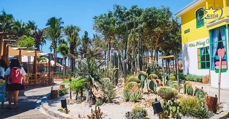 Mango Beach Mũi Né | Điểm Đến Cực Chill Không Thể Bỏ Qua | Saigon Star Travel Cảnh quan Vườn nhiệt đới tại Mango Beach