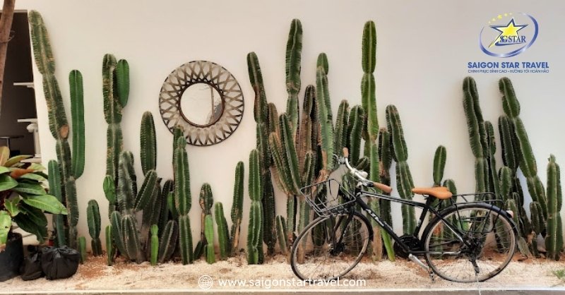 Đặc điểm nổi bật của Cesar Homestay