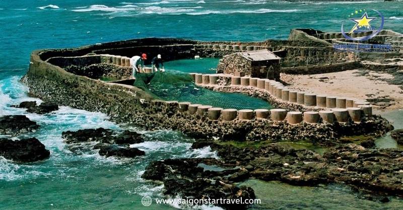 Du Lịch Đảo Phú Quý: Hành Trình Khám Phá Thiên Đường Biển Hoang Sơ | Saigon Star Travel Du lịch đảo Phú Quý tự túc