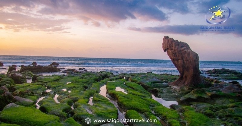 Giới thiệu khu du lịch Cổ Thạch Bình Thuận