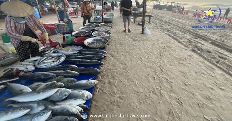 Khám Phá Bãi Biển Cam Bình - Thiên Đường Nghỉ Dưỡng Tại Lagi | Saigon Star Travel Hải sản tại bãi tắm Cam Bình Lagi