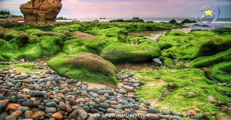 Lưu ý khi đến Khu du lịch Cổ Thạch Bình Thuận