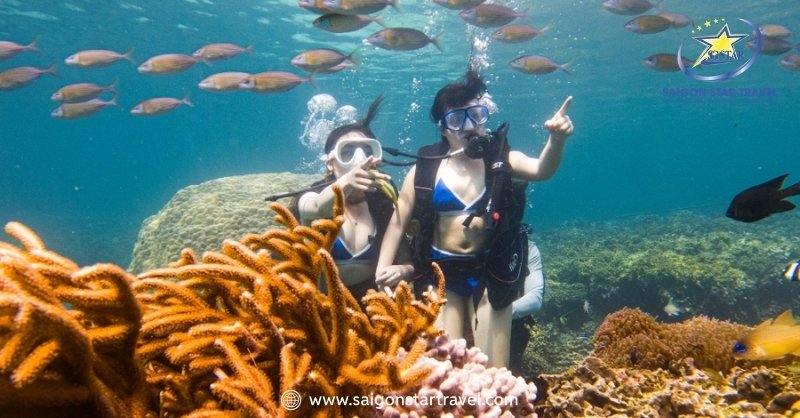 Du Lịch Đảo Phú Quý: Hành Trình Khám Phá Thiên Đường Biển Hoang Sơ | Saigon Star Travel Lặn ngắm san hô khi du lịch đảo Phú Quý tự túc