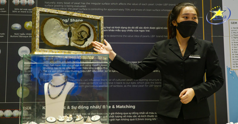 Du lịch 3 Ngày 2 Đêm Tết Nguyên Đán - Nên đi đâu? | Saigon Star Travel Tìm hiểu quy trình nuôi cấy ngọc trai tại Long Beach Pearl Mũi Né