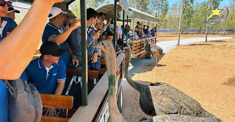 Vé Tham Quan NovaWorld Phan Thiết | Saigon Star Travel Công viên hoang dã Safari Café