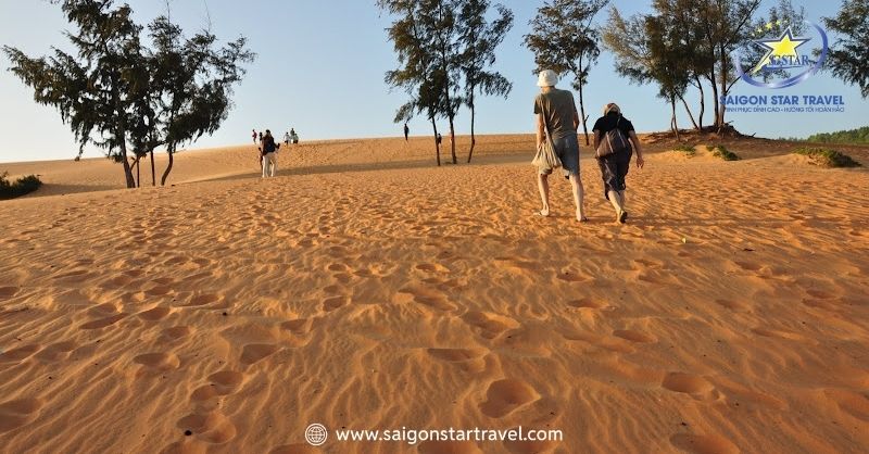 Thong dong đi dạo trên cát