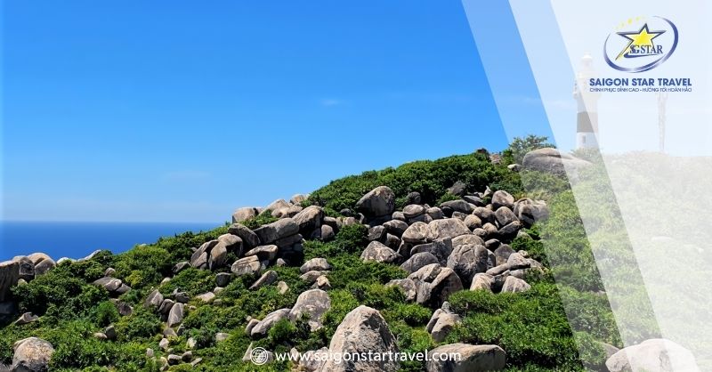 Cù Lao Xanh là một hòn đảo hoang sơ với nhiều bãi biển đẹp có vị trí gần với Bãi biển Hoàng Hậu