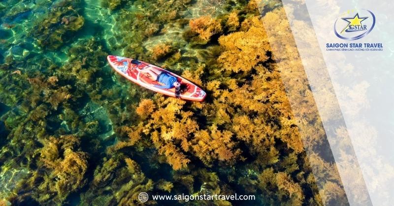 Đi Quy Nhơn mùa nào đẹp – Khám phá khí hậu Quy Nhơn trong năm