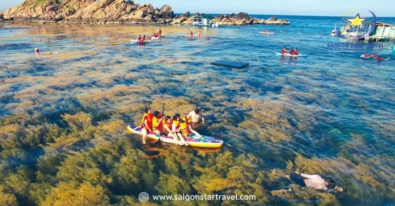 Lặn ngắm san hô cực vui | Tour Hòn Khô 1 Ngày