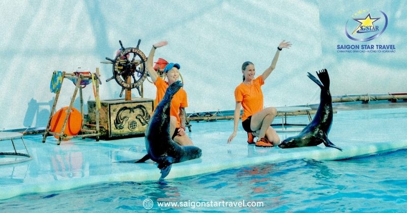 Xem Xiếc Hải Cẩu trong Tour Kỳ Co 1 Ngày Saigon Star Travel