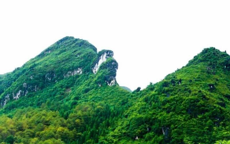 Đến du lịch Sapa chinh phục Fansipan- nóc nhà Đông Dương | Saigon Star Travel du lich sapa 2