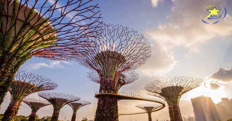 Tour Du Lịch Tết Singapore Malaysia 5 Ngày 4 Đêm - 1 Hành Trình 2 Quốc Gia | Saigon Star Travel du lich singpaore Gardens by the Bay