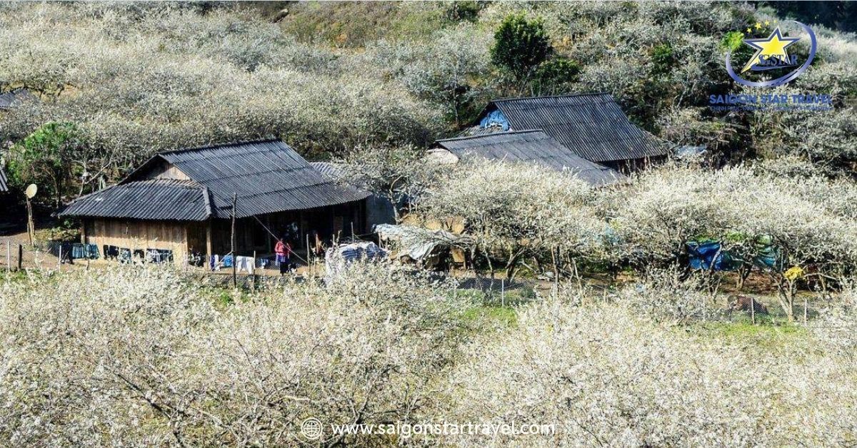 Thung lũng mận Nà Ka