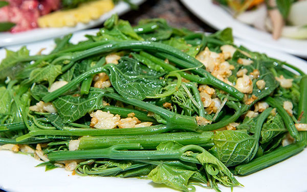 Du lịch Tam Đảo tự túc, bạn đã thử chưa? | Saigon Star Travel du-lich-tam-dao-051-8