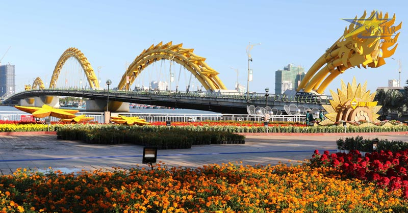 Du lịch Tết ở Đà Nẵng có gì vui ? | Saigon Star Travel Dạo chơi đường hoa Đà Nẵng đầy sắc màu