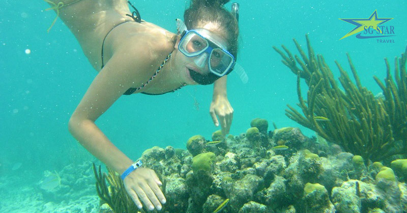 Bật Mí Bí Kíp Du Lịch Tết Phú Quốc Tiết Kiệm, Vui quên lối về ! | Saigon Star Travel Trải nghiệm lặn ngắm san hô, khám phá thế giới san hô đầy màu sắc Phú Quốc