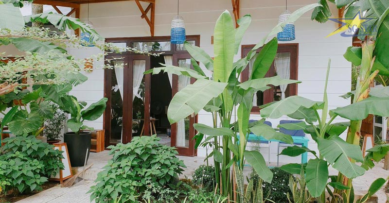 The May Garden Stay- homestay giá rẻ Phú Quốc