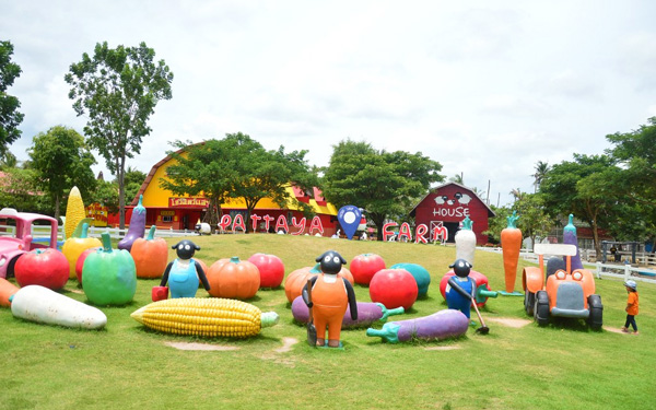 Du lịch Thái Lan, khám phá nông trại cừu Pattaya | Saigon Star Travel du-lich-thai-lan-kham-pha-nong-trai-cuu-pattaya-6