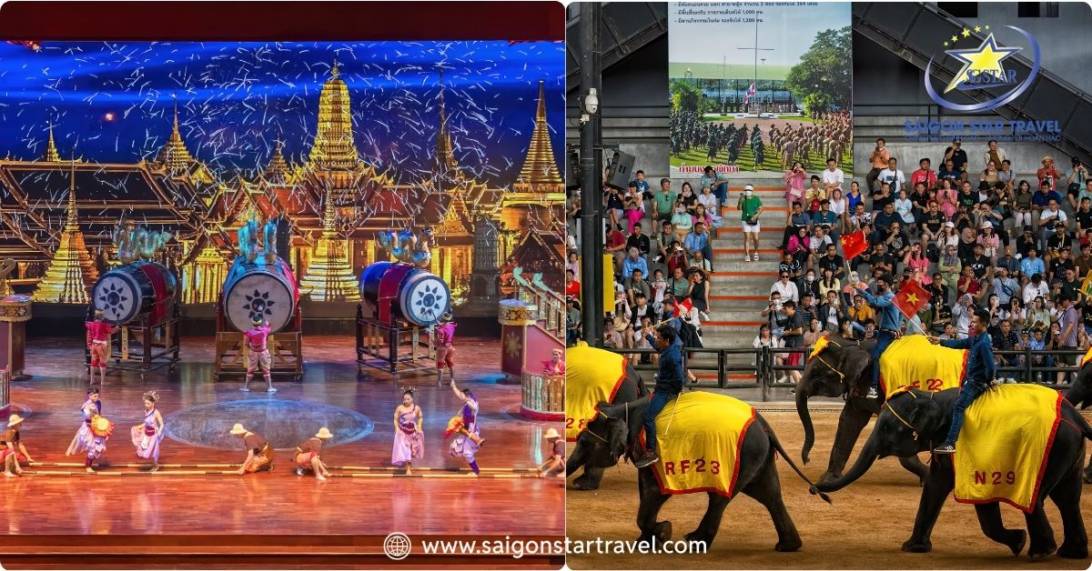 Show văn hoá truyền thống và biểu diễn voi ở Nong Nooch