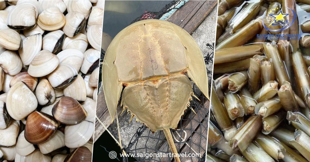 Đặc sản tươi sống tại biển Tân Thành-Gò Công
