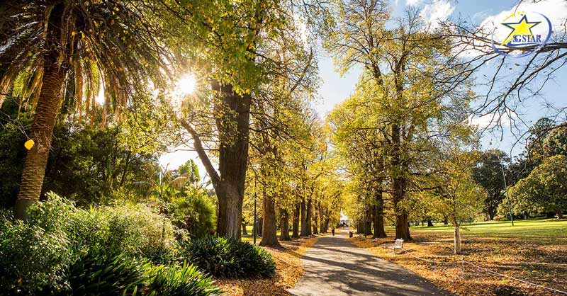Tour Du lịch Úc 7 Ngày 6 Đêm | Sydney - Melbourne | Saigon Star Travel Vườn thượng uyển Fitzroy Garden - Tour du lịch Australia 7 ngày 6 đêm