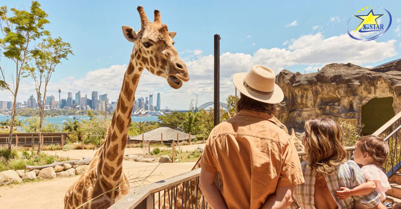 Tour Du lịch Úc 7 Ngày 6 Đêm | Sydney - Melbourne | Saigon Star Travel Tìm hiểu hệ sinh thái đa dạng của nước Úc và tận mắt xem những loài vật biểu trưng của quốc gia