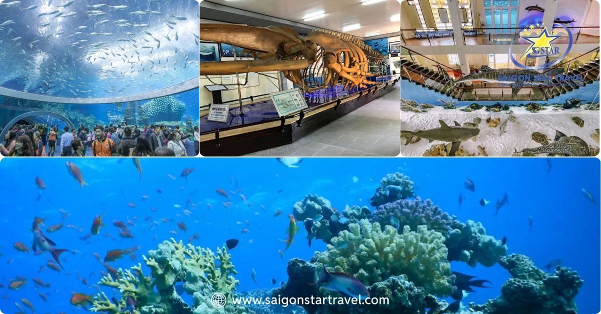 Khám phá các phân khu nổi bật