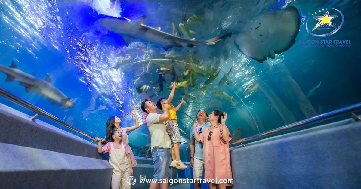 Tham quan Viện Hải Dương Học