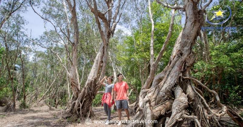 Những Địa Điểm Ít Người Biết Ở Vũng Tàu Cực Chất | Saigon Star Travel du lich vung tau khu bao ton thien nhien binh chau phuoc buu
