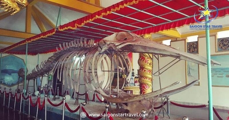 Đình Thần Thắng Tam - Bạn Đã Biết Gì Về Địa Điểm Này | Saigon Star Travel Lăng Cá Ông tại đình