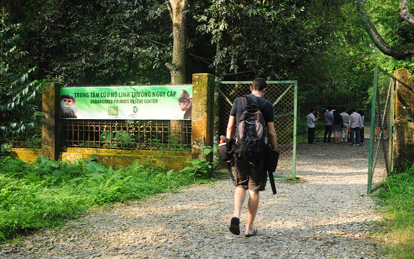 Du lịch vườn quốc gia Cúc Phương có gì hay? | Saigon Star Travel du-lich-vuon-quoc-gia-cuc-phuong-co-gi-hay-4