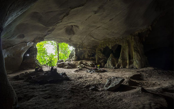 Du lịch vườn quốc gia Cúc Phương có gì hay? | Saigon Star Travel du-lich-vuon-quoc-gia-cuc-phuong-co-gi-hay-5