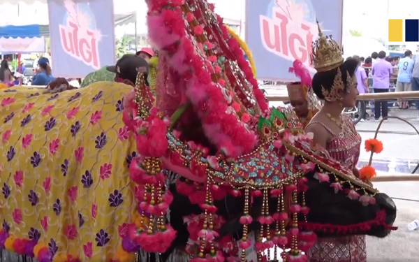 Đua trâu Thái Lan - Lễ hội đặc sắc ở đất nước chùa Vàng | Saigon Star Travel dua trau thai lan le hoi dac sac o dat nuoc chua vang 5