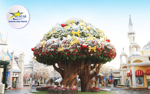 Tour Hàn Quốc trượt tuyết -Trải nghiệm mùa đông lạnh giá xứ sở Kim Chi | Saigon Star Travel tour-han-quoc-truot-tuyet-trai-nghiem-mua-dong-lanh-gia-xu-so-kim-chi-6