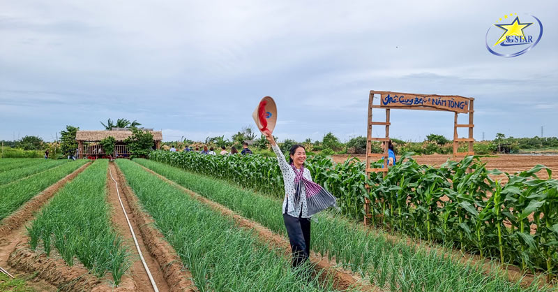 Saigon Star cùng Farmtrip Trà Vinh | Mô hình Du lịch nông nghiệp ấp Cồn Ông | Saigon Star Travel farm trip tra vinh con ong 6