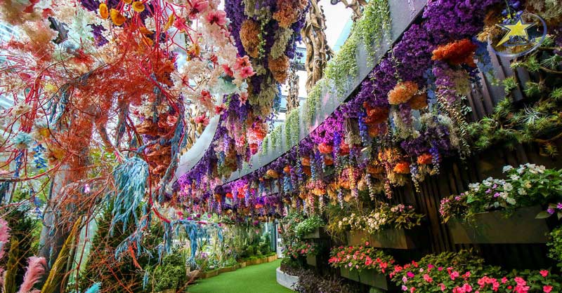 Tour Du Lịch Singapore 3 Ngày 2 Đêm - Garden By The Bay - Jewel Changi | Saigon Star Travel Khu vườn cổ tích diệu kỳ - lịch trình Tour Singapore 3N2Đ