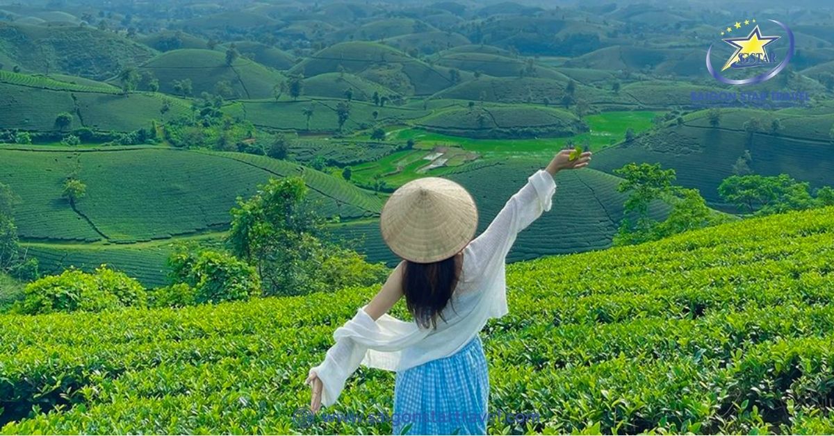 Thời điểm thích hợp nhất giúp bạn có những bức ảnh tuyệt đẹp tại đồi chè Long Cốc