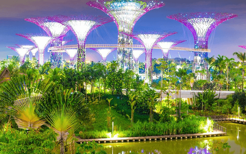 garden-by-the-bay-thanh-pho-trong-mot-khu-vuon-2