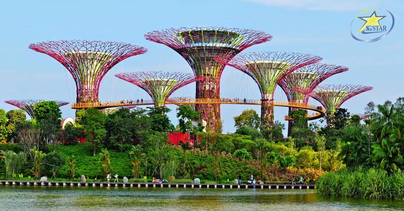 Tour Du Lịch Singapore 3 Ngày 2 Đêm - Garden By The Bay - Jewel Changi | Saigon Star Travel Garden By The Bay – Tour Singapore 3 Ngày 2 Đêm
