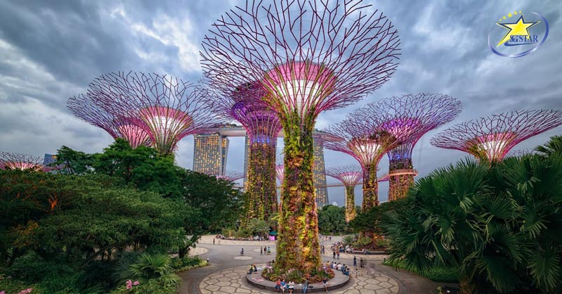 Tour singapore 5 Ngày 4 Đêm – Gardens By The Bay | Saigon Star Travel Kỳ quan Gardens by the Bay - Điểm tham quan khám phá và check-in lý tưởng nhất